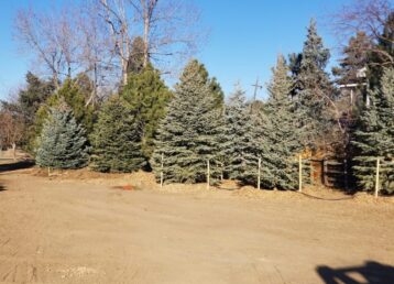 Enhancing Curb Appeal