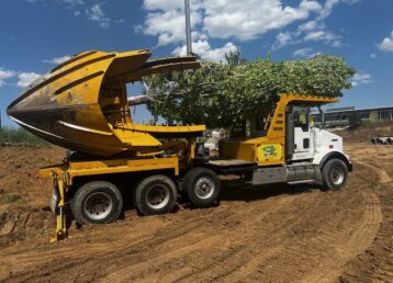 One of our tree movers